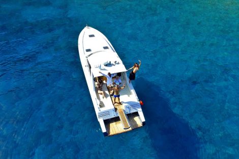 Seagala cruises